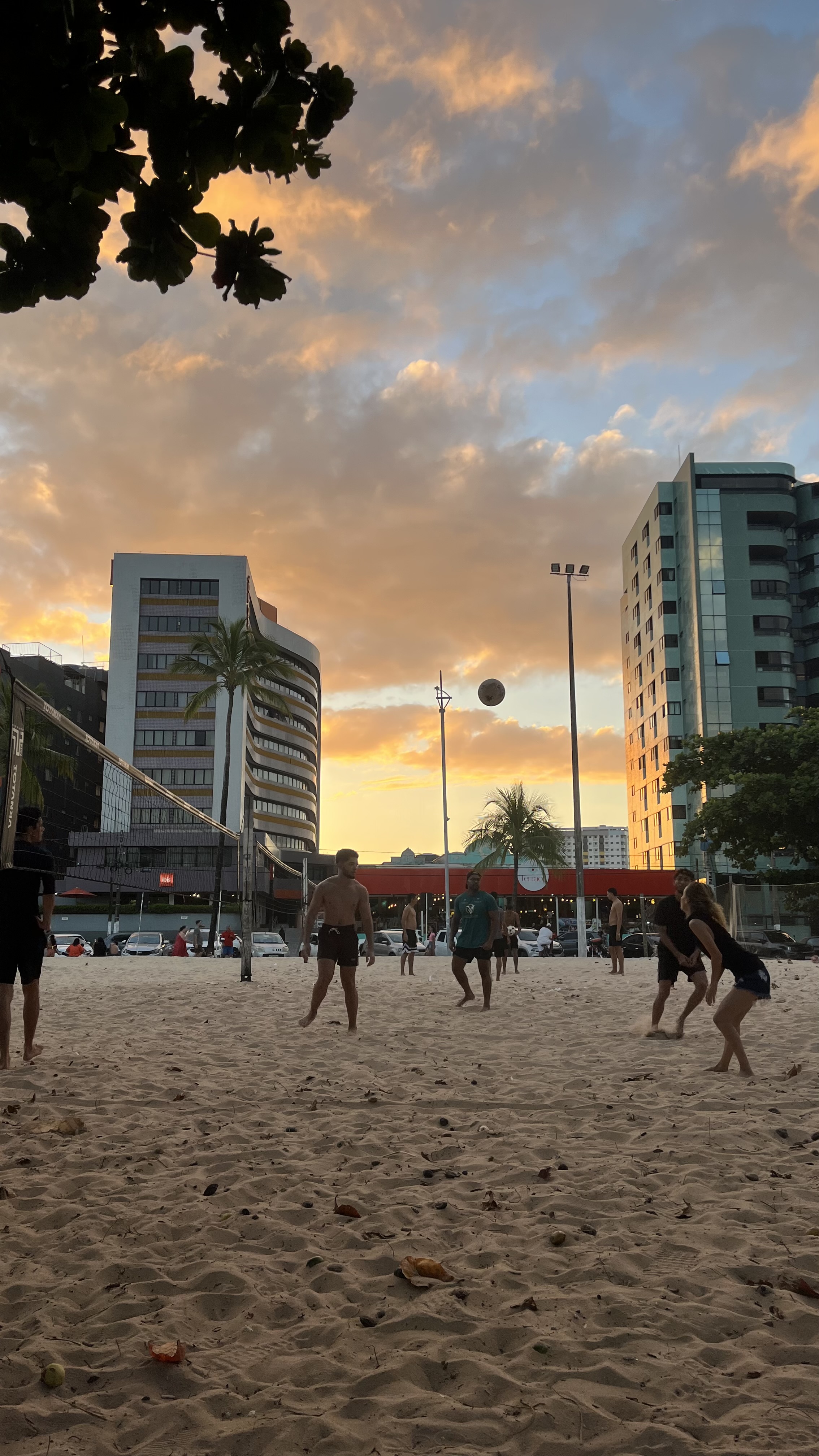 Vôlei de Domingo
